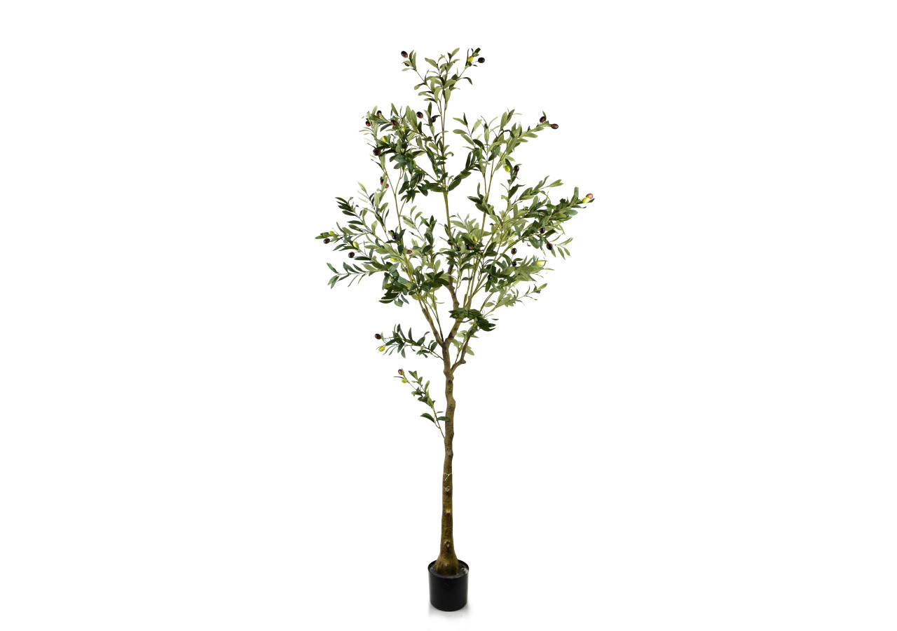 OLIVES Kwiat sztuczny h:180cm