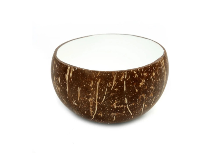 Bol en Noix de Coco Naturel - Élégance tropicale - JABR005NW - Bazar Bizar