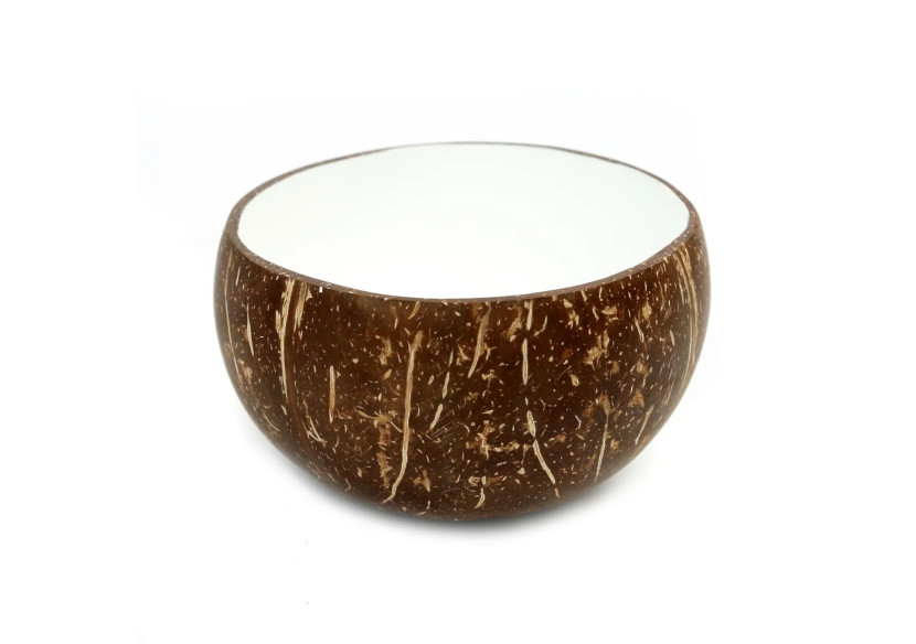 Bol en Noix de Coco Naturel - Élégance tropicale - JABR005NW - Bazar Bizar