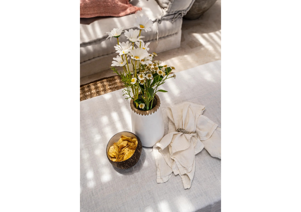 Bol en Noix de Coco Naturel - Élégance tropicale - JABR005NW - Bazar Bizar