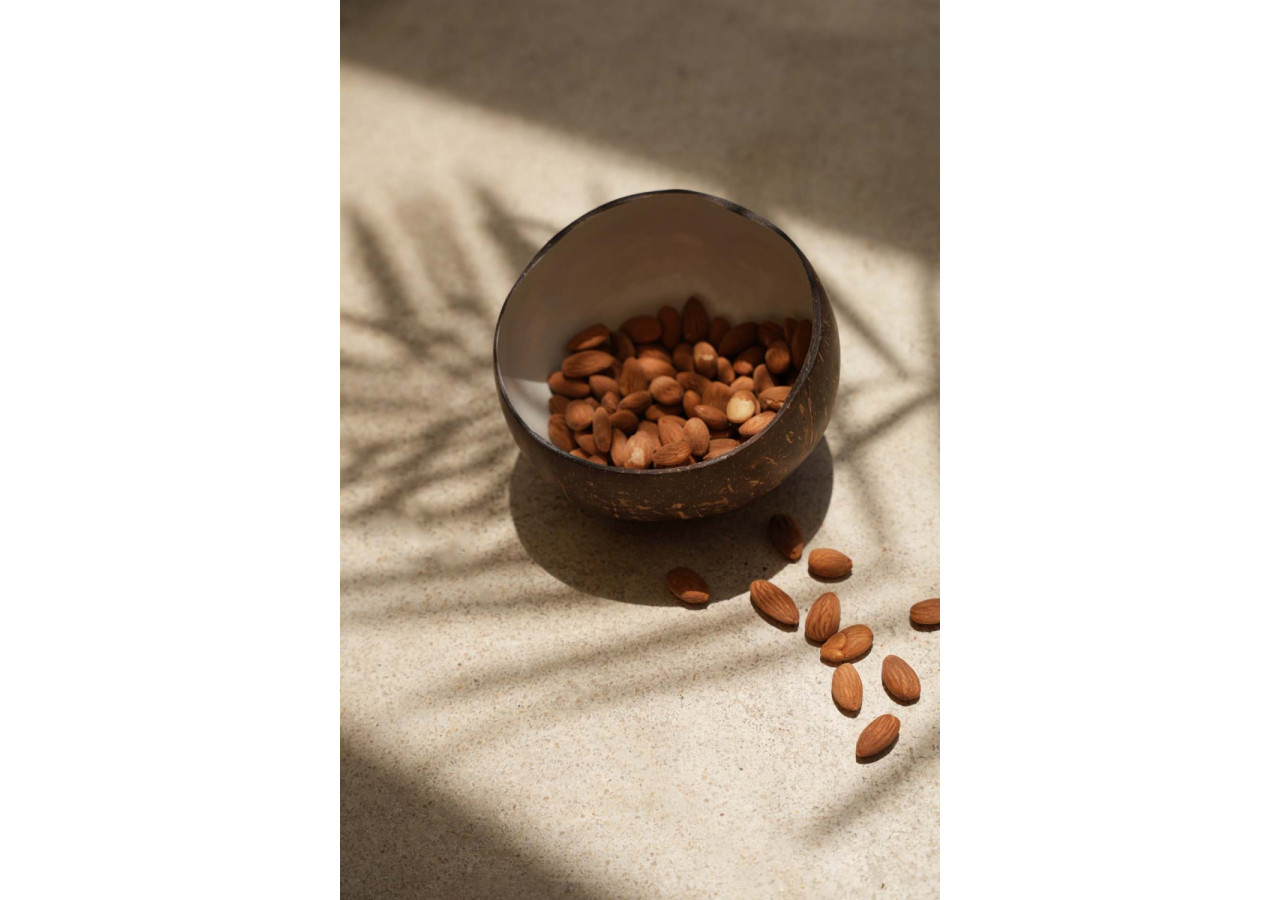 Bol en Noix de Coco Naturel - Élégance tropicale - JABR005NW - Bazar Bizar