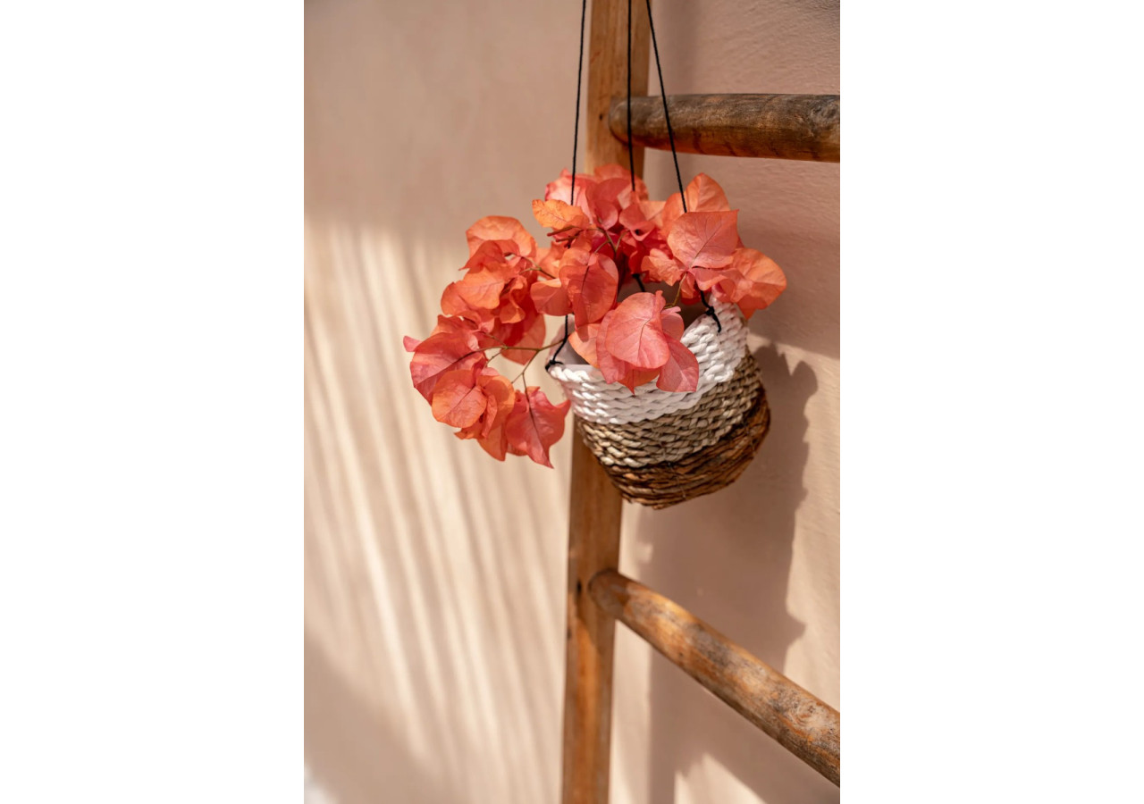 Support de Plante Suspendu - Bananier et Mer - Naturel Blanc - S - JAAT012NW - Bazar Bizar