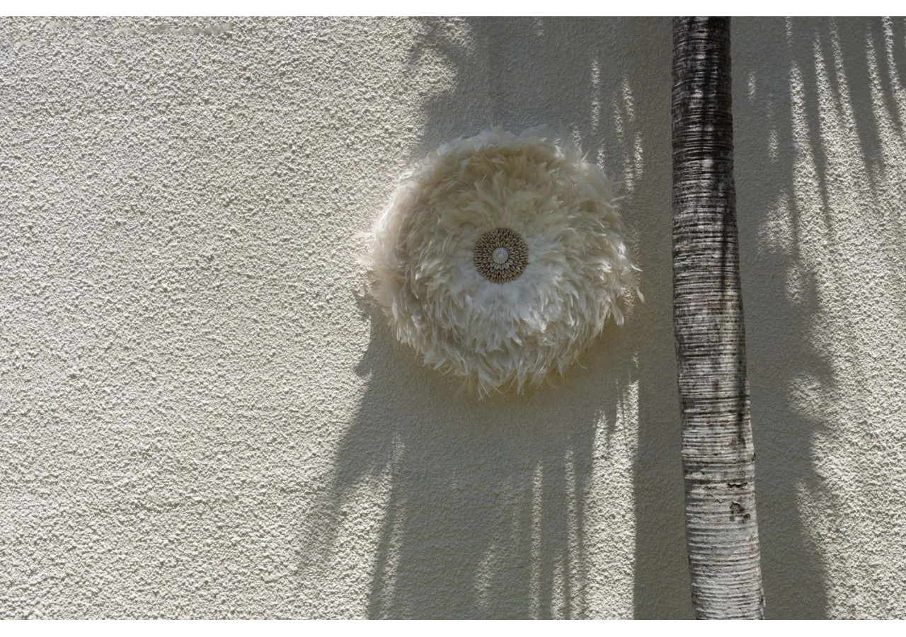 Juju Côtier - Décoration murale en plumes avec coquillages - BALE015W-L-60 - Bazar Bizar