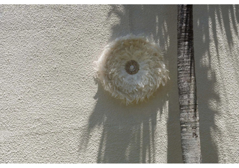 Juju Côtier - Décoration murale en plumes avec coquillages - BALE015W-L-60 - Bazar Bizar