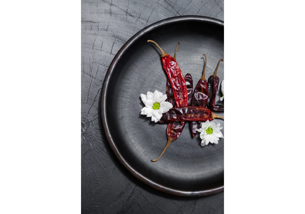 Assiette Brûlée - Terracotta noire pour repas élégants - JAES009B-M - Bazar Bizar