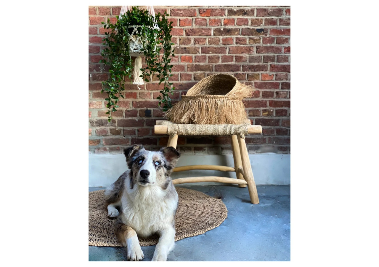 Tabouret en Herbe de Mer - Naturel - Moyen - JACA011N-60x40 - Bazar Bizar