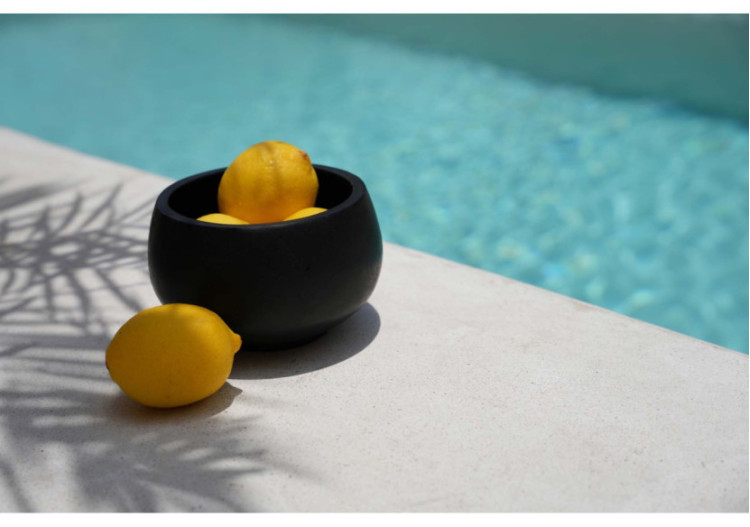 Bol en Teck Noir - Accessoire Multifonctionnel - JAES020B - Bazar Bizar 2