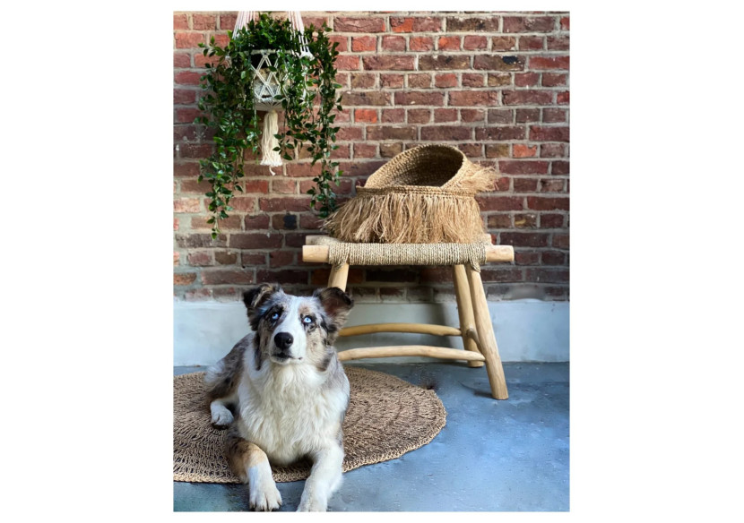 Porte-Plante Macramé - Blanc - M_40 - BA151W-M - Bazar Bizar