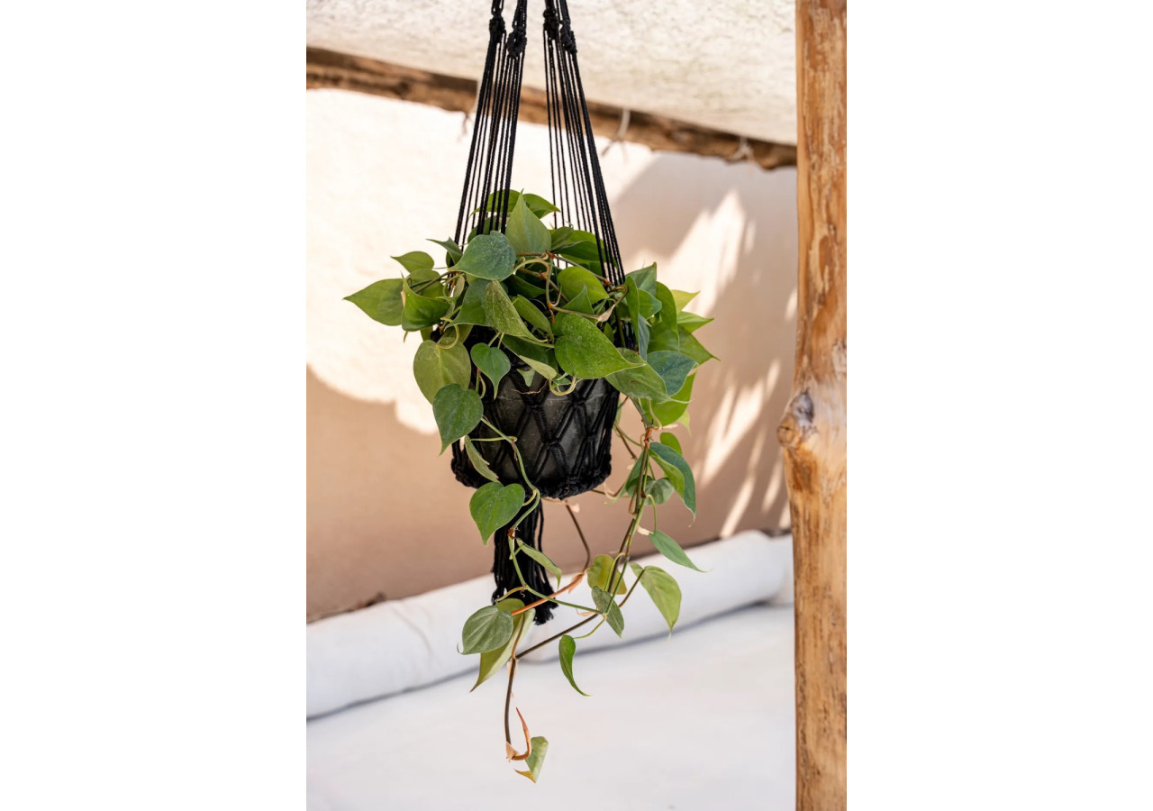 Porte-Plante en Macramé Noir - Grande Taille - BA151B-L - Bazar Bizar