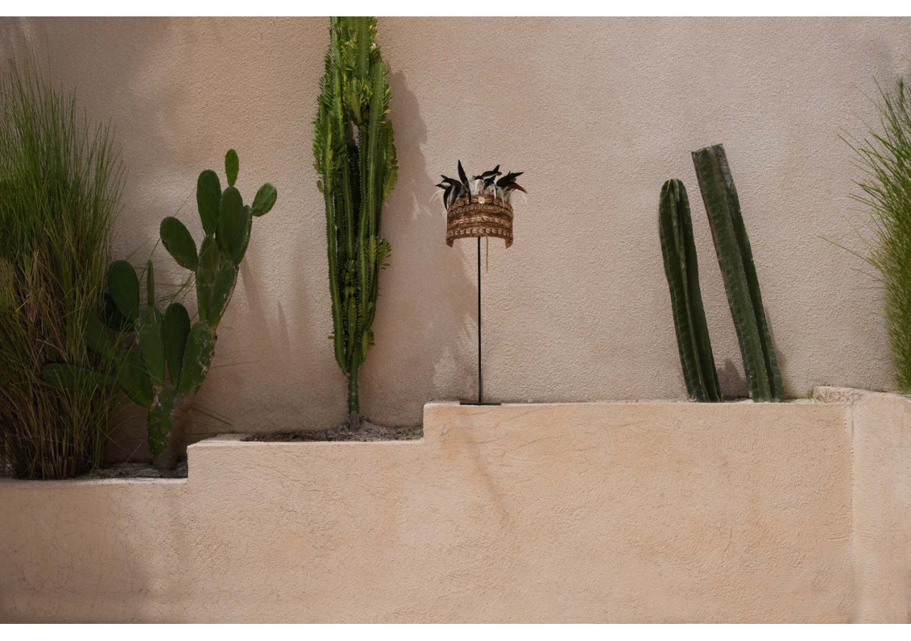 Chapeau en Plumes de Cobaye sur Support - Noir Naturel - BAKU020NB - Bazar Bizar