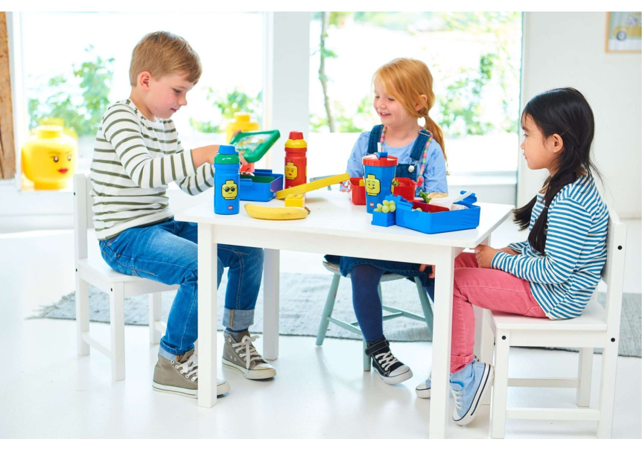 Gourde LEGO Iconic - 390 ml pour enfants - RC 030414 - Lego