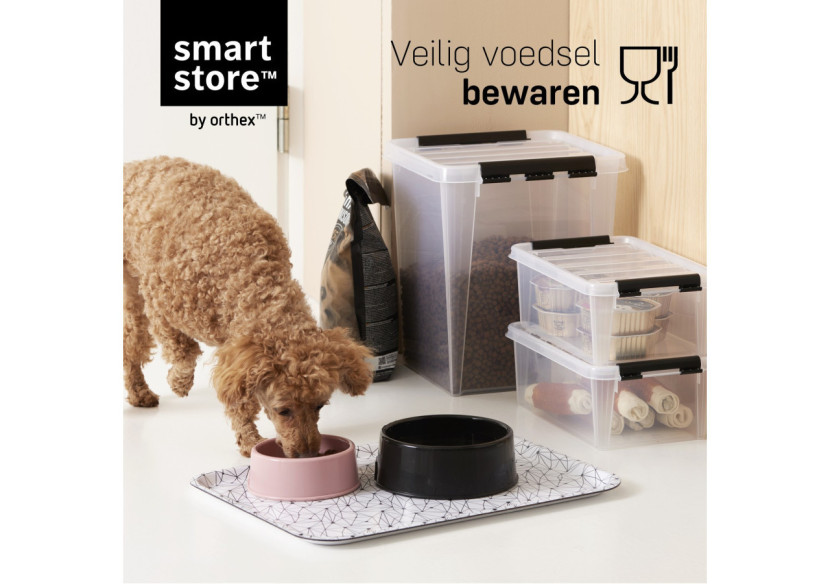 SmartStore Classic 45 - Boîte de rangement 47 litres - OR 058743 - Orthex