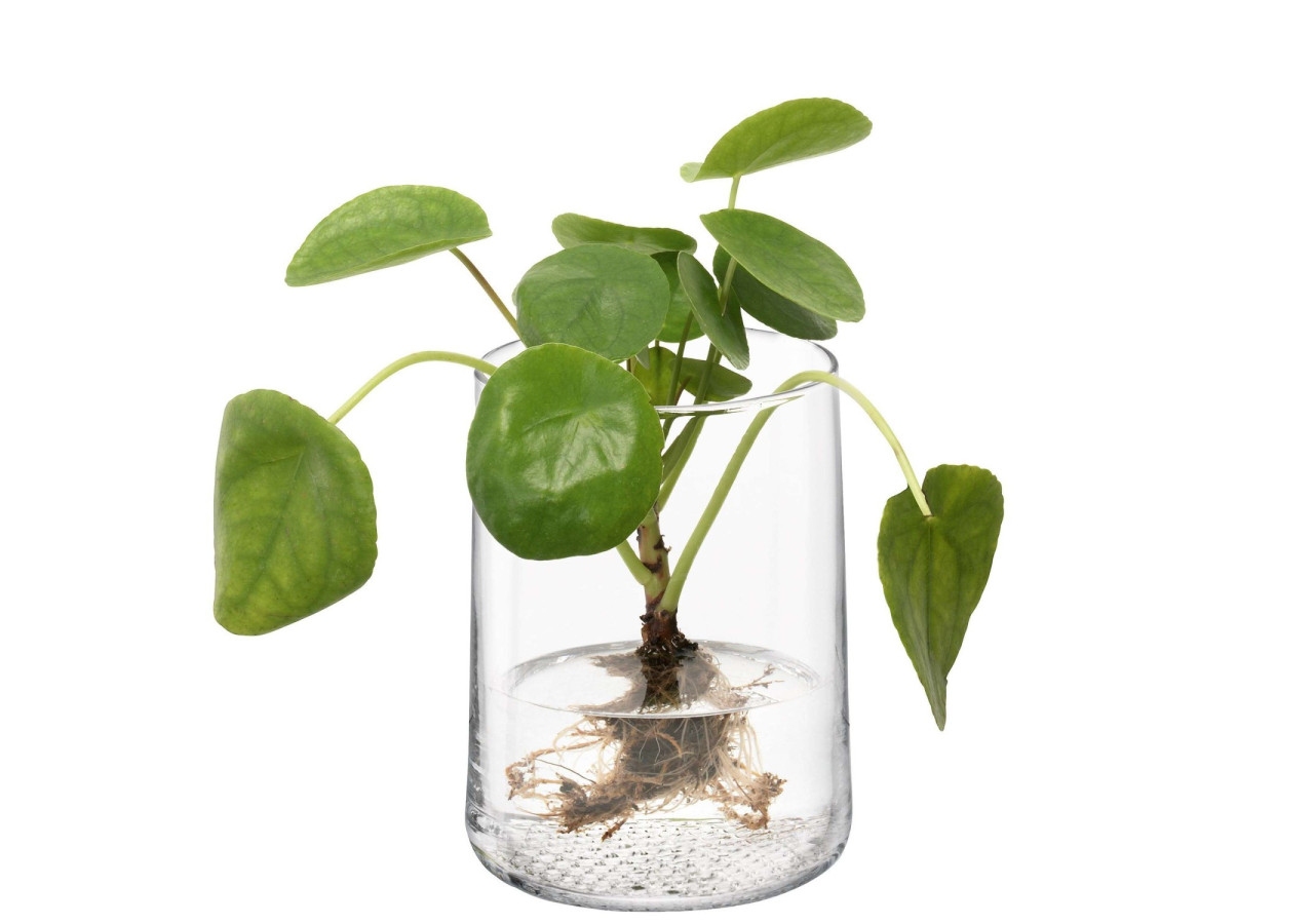 Vase Market - 17,5 cm en verre élégant - LS 576065 - L.S.A.