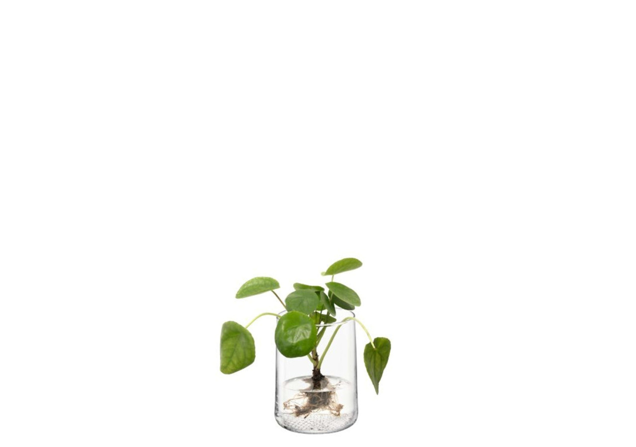 Vase Market - 17,5 cm en verre élégant - LS 576065 - L.S.A.