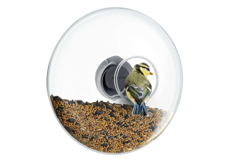 Mangeoire à oiseaux pour fenêtre - Grande taille 20 cm - ES 166225 - Eva Solo