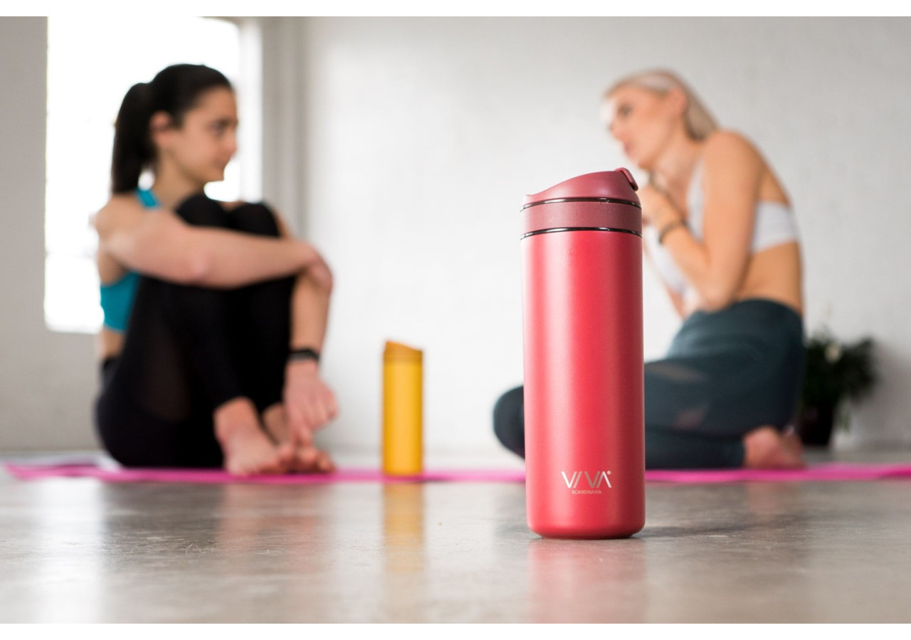 Bouteille Rechargeable avec Filtre 460 ml - Idéale pour Thé et Café - VI 820527 - Viva