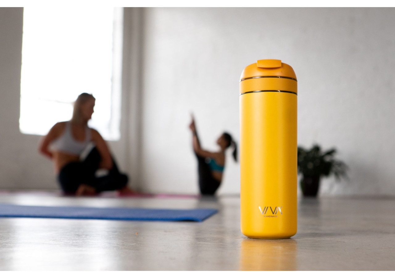 Bouteille Rechargeable avec Filtre 460 ml - Idéale pour Thé et Café - VI 820527 - Viva