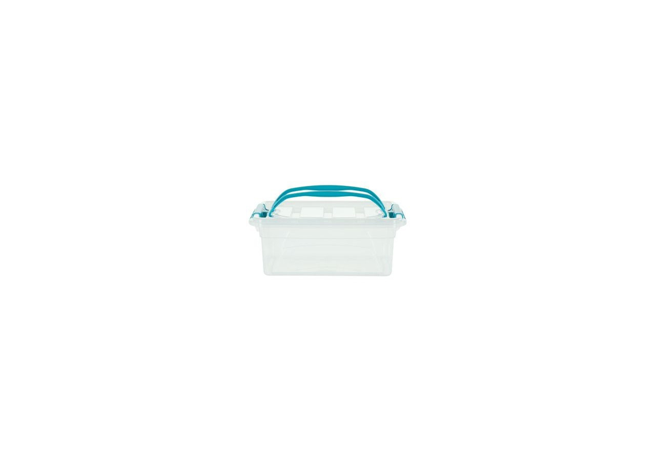 Boîte de Rangement Carry Box - 5 litres avec clips - WF 018800 - Whitefurze