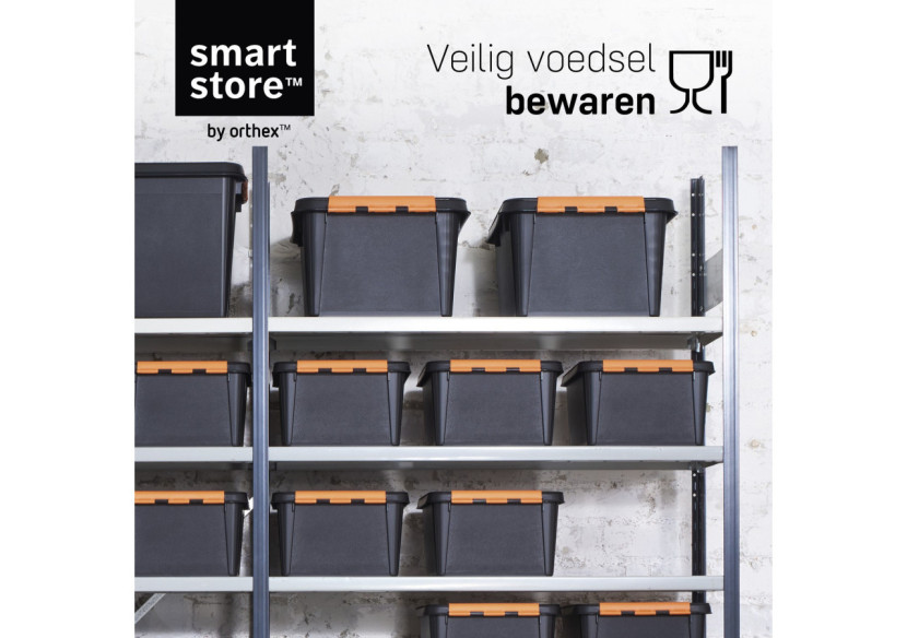 Boîte de rangement SmartStore Pro 32 L - Résistante et robuste - OR 024755 - Orthex
