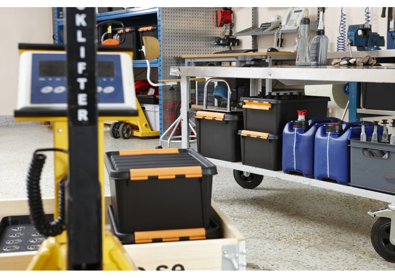 Boîte de rangement SmartStore Pro 32 L - Résistante et robuste - OR 024755 - Orthex