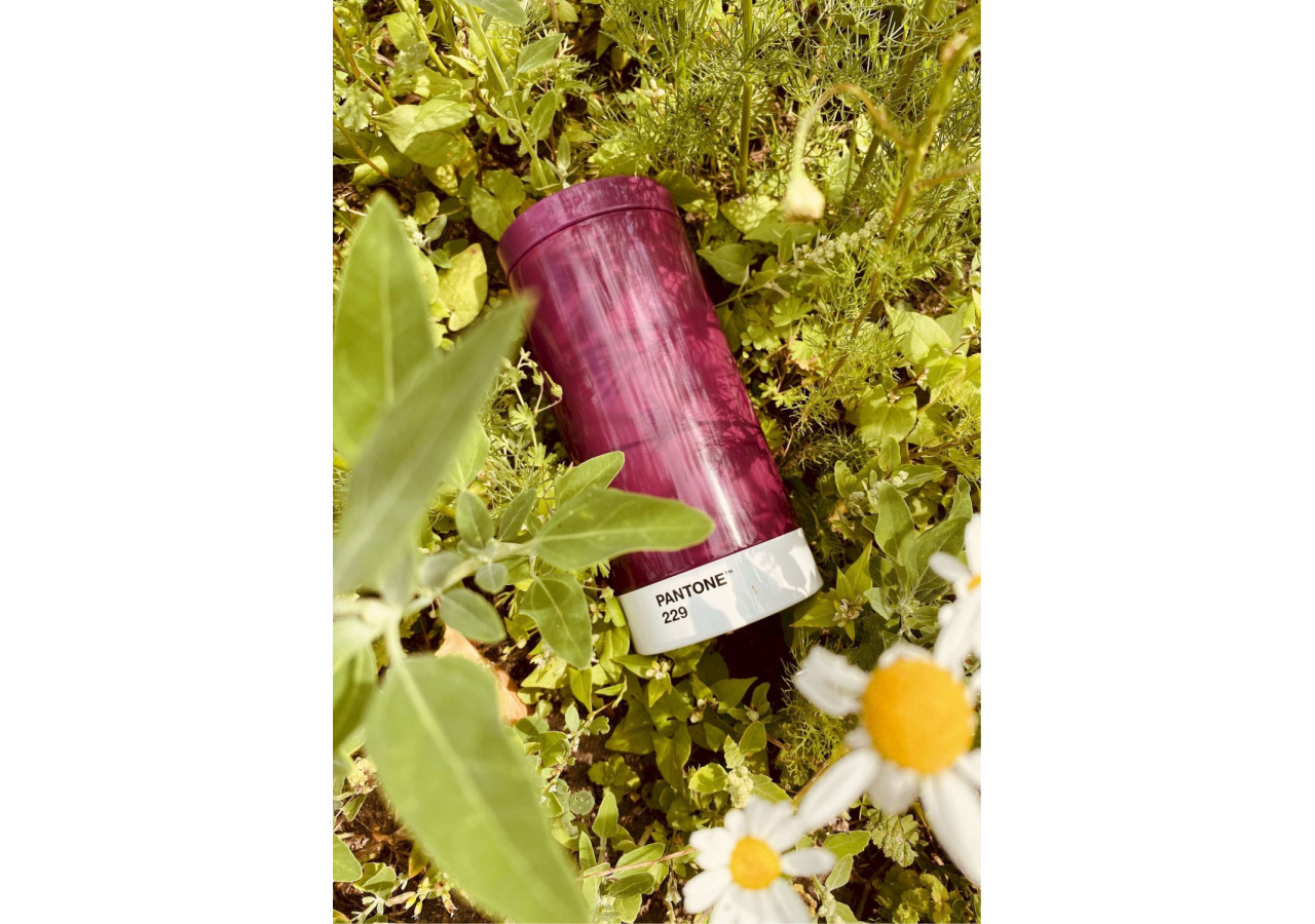 Gourde To Go - 430 ml Aubergine - RC 028237 - Copenhagen Design