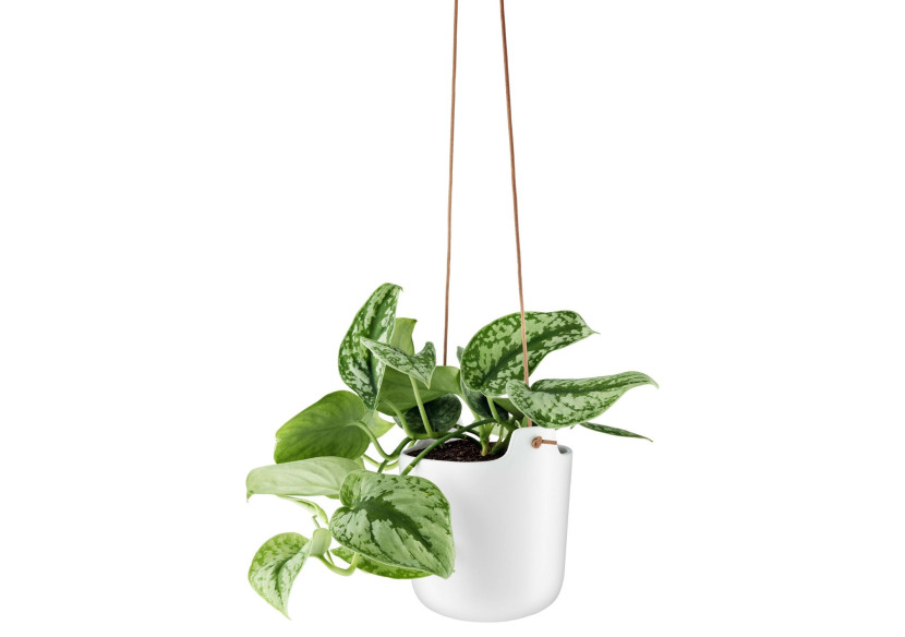 Pot de Fleurs Suspendu avec Système d'Auto-Arrosage - 15 cm - ES 180498 - Eva Solo