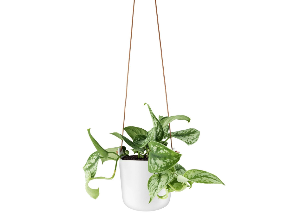 Pot de Fleurs Suspendu avec Système d'Auto-Arrosage - 15 cm - ES 180498 - Eva Solo