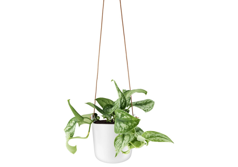 Pot de Fleurs Suspendu avec Système d'Auto-Arrosage - 15 cm - ES 180498 - Eva Solo