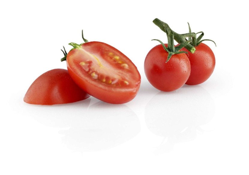 Couteau à Tomate Green Tool - Eva Solo - ES 199001 - Eva Solo Couteau à Tomate Green Tool - Eva Solo - ES 199001 - Eva Solo