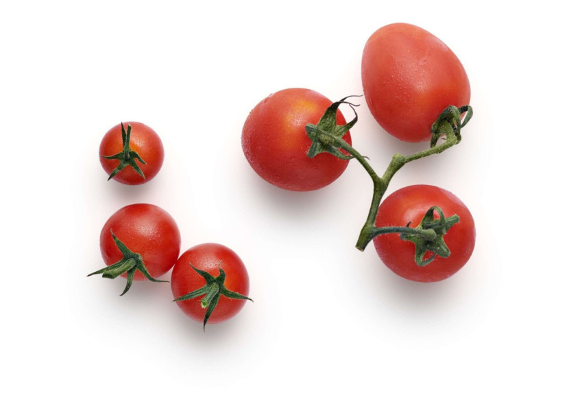 Couteau à Tomate Green Tool - Eva Solo - ES 199001 - Eva Solo Couteau à Tomate Green Tool - Eva Solo - ES 199001 - Eva Solo