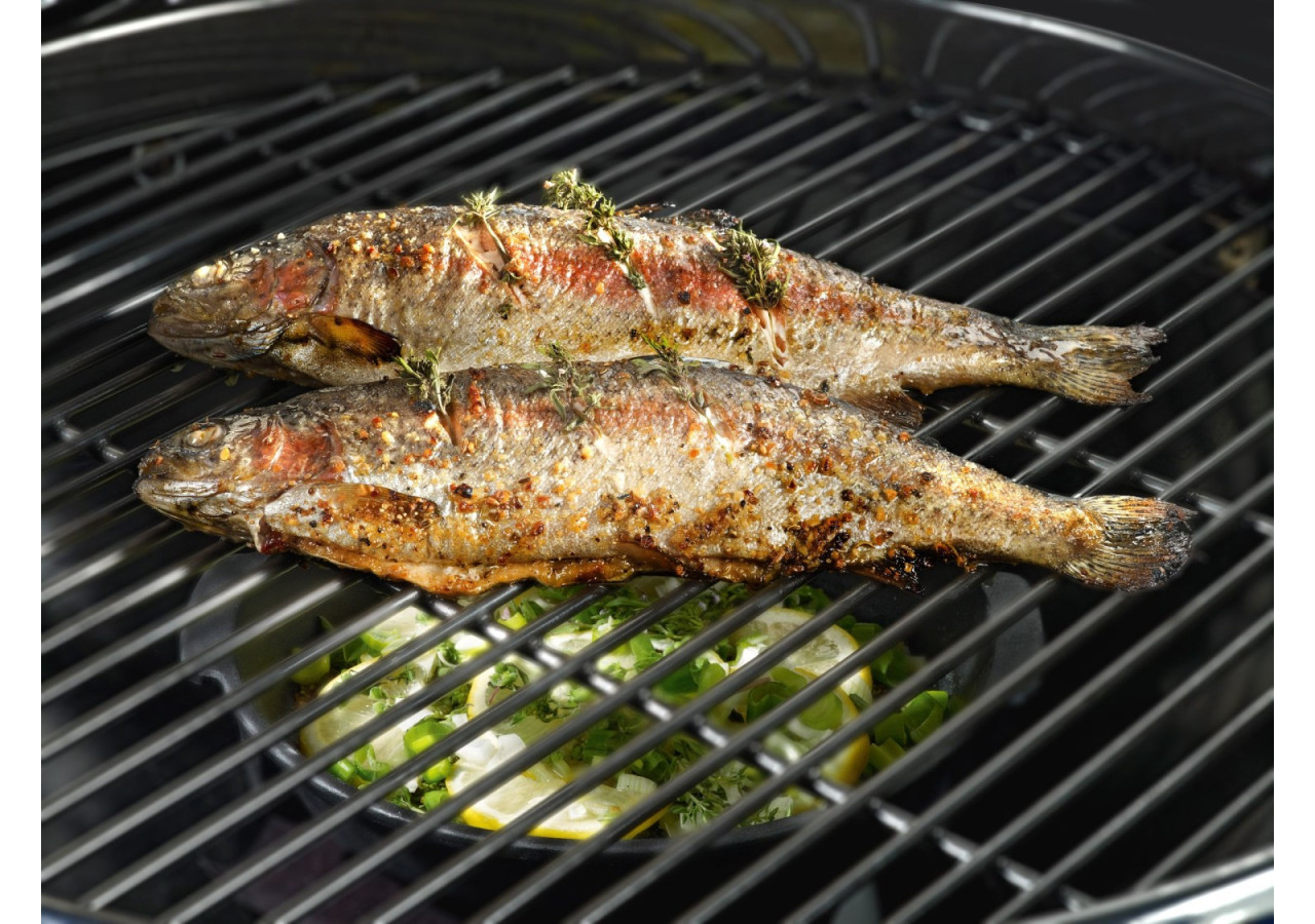 Accessoire BBQ Aromapan - Gietijzer pour Saveurs - OC 011116 - Outdoor Chef