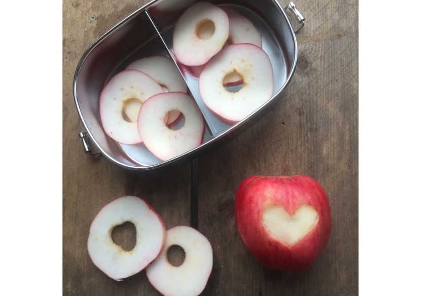 Bento Lunchbox Compacte - 2 Compartiments pratiques - YY 002027 - Yummii Yummii