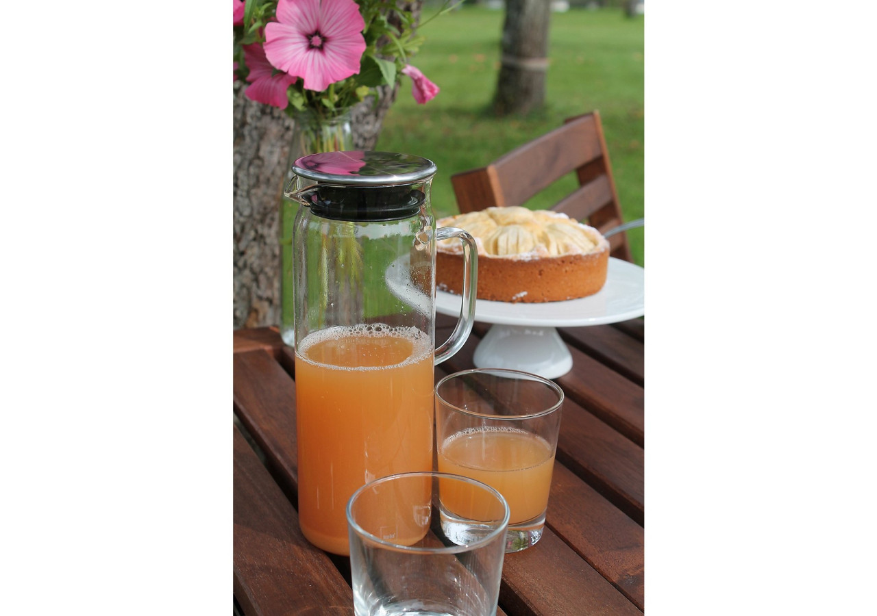 Carafe à jus Sapkan - Verre 1,6L avec couvercle en inox - KE 113987 - Kela Keuken