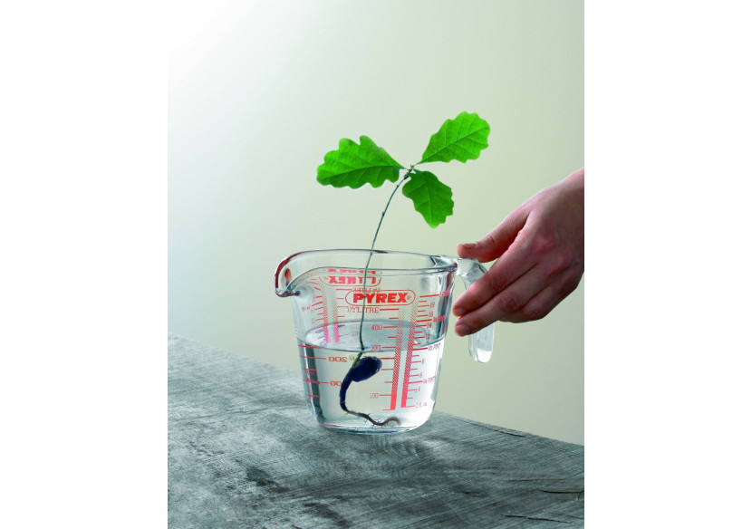 Mesure Pyrex Classic - 0,5 litre en verre borosilicaté - PY 010631 - Pyrex Mesure Pyrex Classic - 0,5 litre en verre borosilicaté - PY 010631 - Pyrex