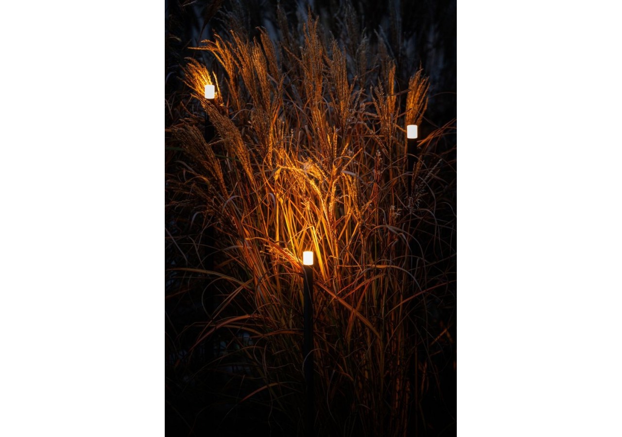 Erba Borne lumineuse - LP222P - Light Pro