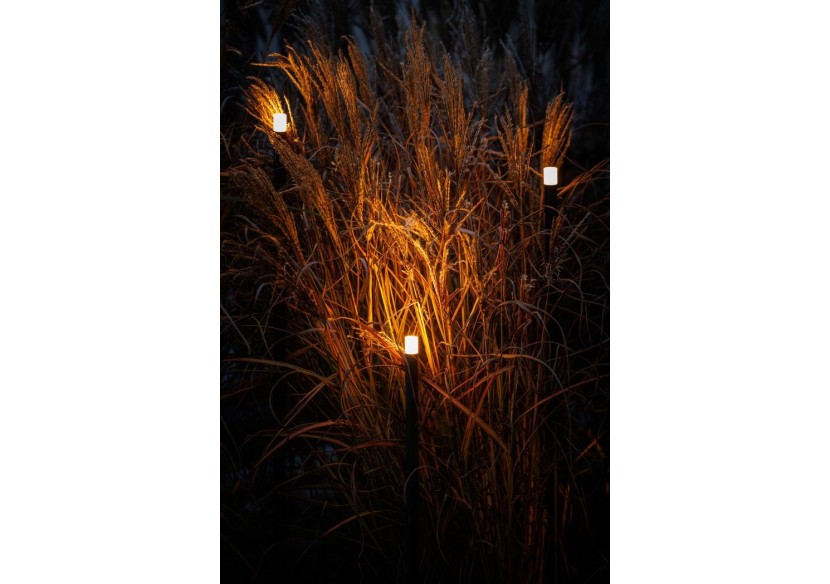 Erba Borne lumineuse - LP222P - Light Pro