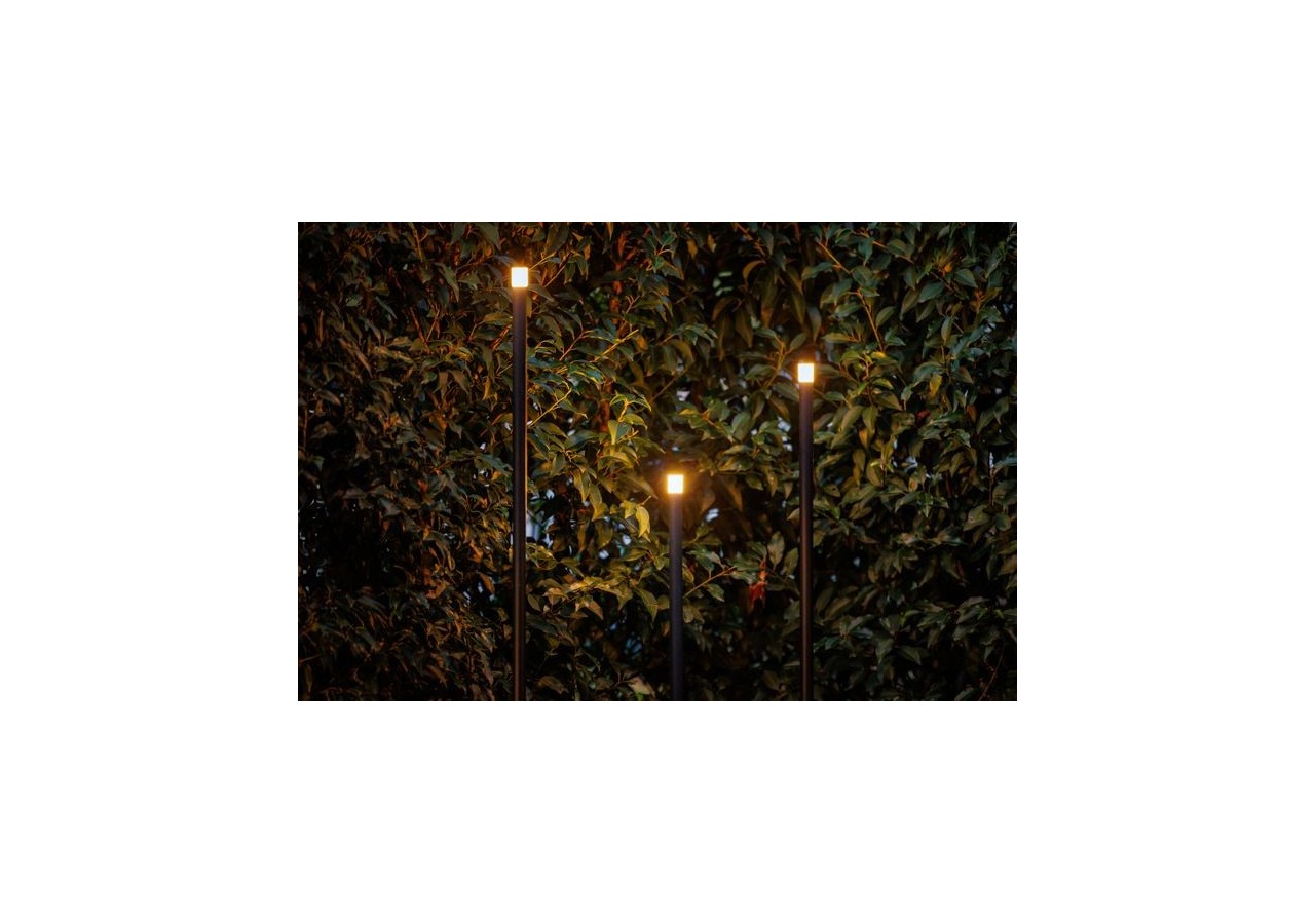 Erba Borne lumineuse - LP222P - Light Pro