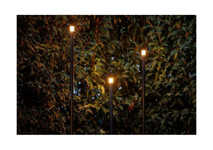 Erba Borne lumineuse - LP222P - Light Pro