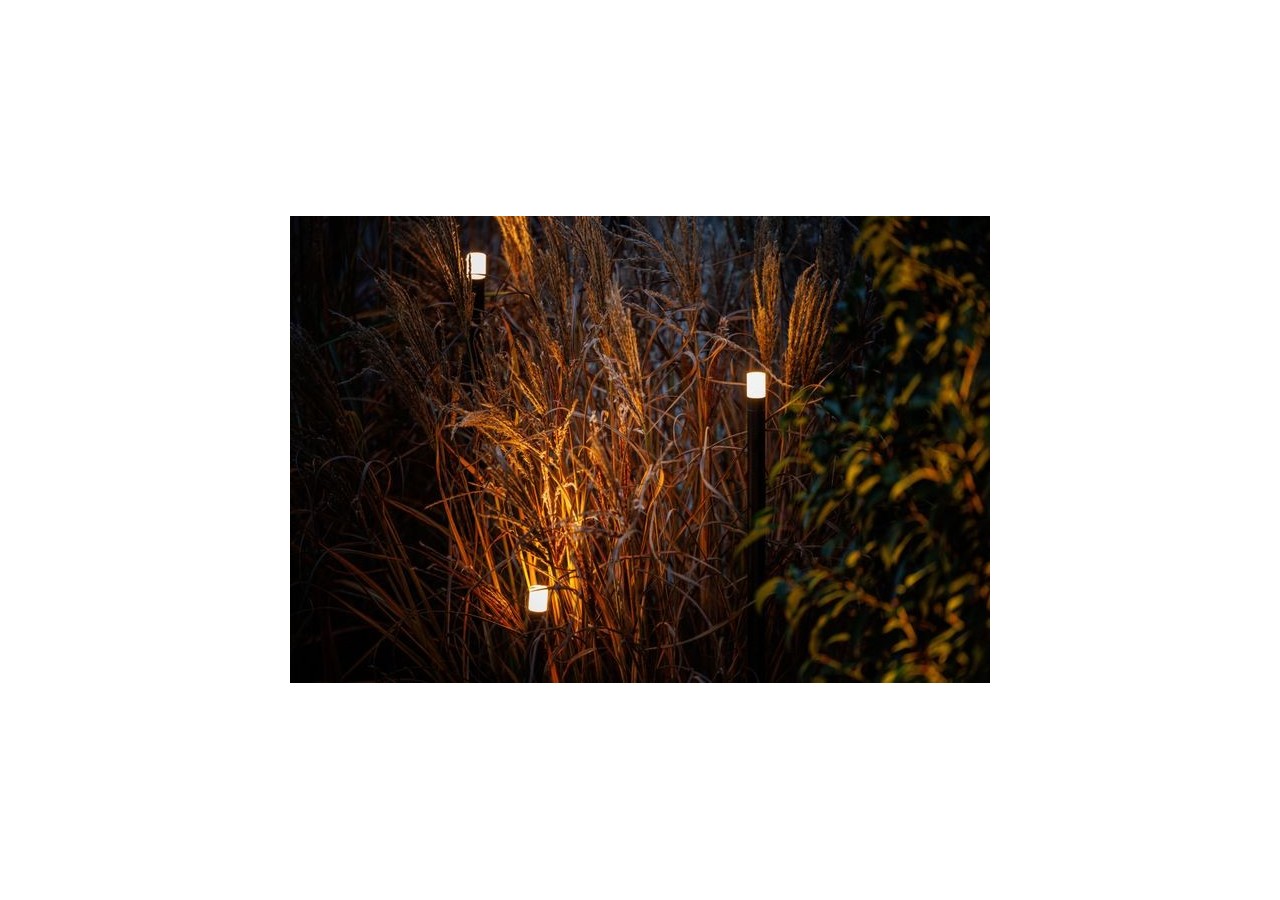 Erba Borne lumineuse - LP222P - Light Pro