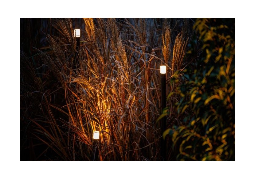 Erba Borne lumineuse - LP222P - Light Pro