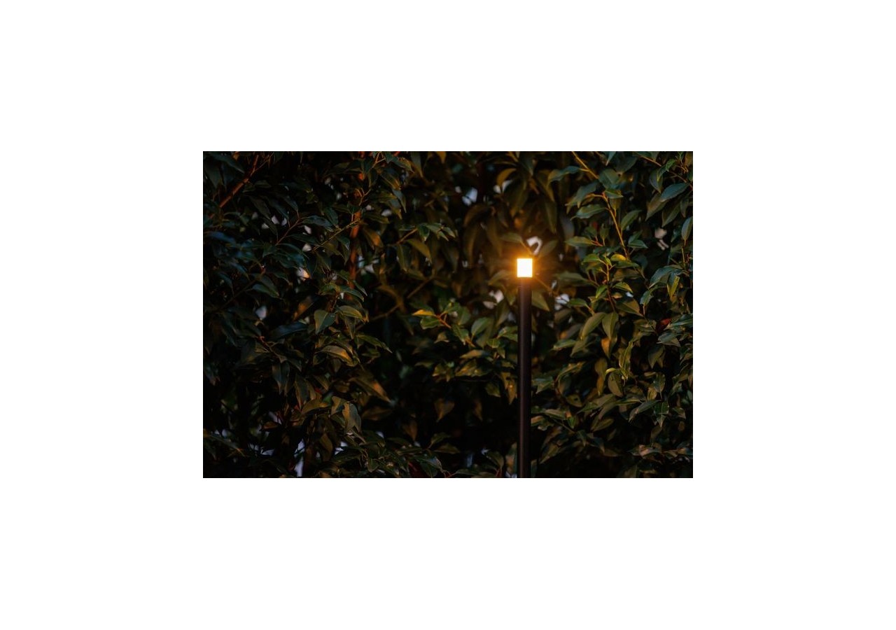 Erba Medium Borne lumineuse-LP223P- Light Pro