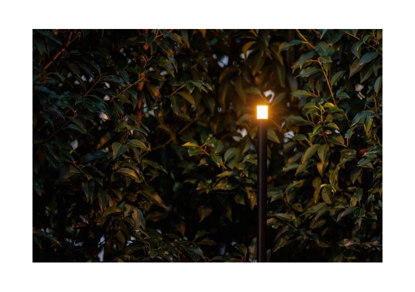 Erba Medium Borne lumineuse-LP223P- Light Pro