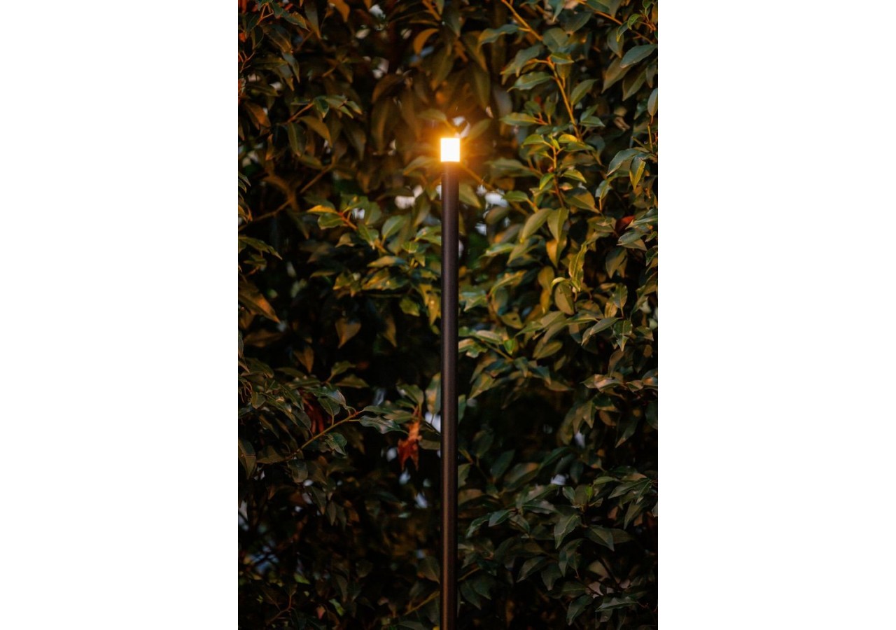 Erba Medium Borne lumineuse-LP223P- Light Pro