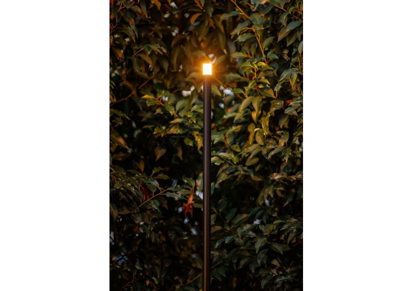 Erba Medium Borne lumineuse-LP223P- Light Pro