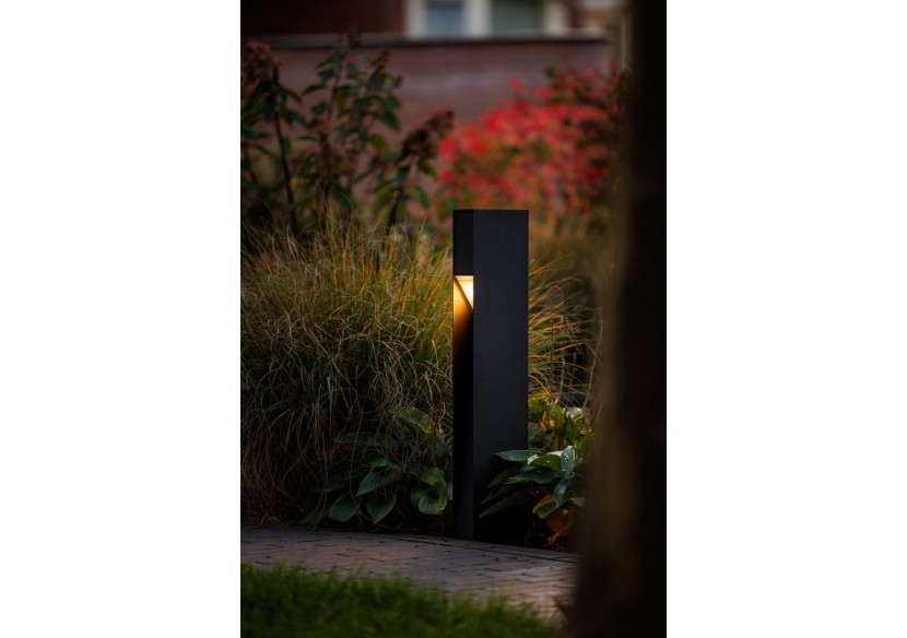 Alon  Borne lumineuse-LP221P- Light Pro