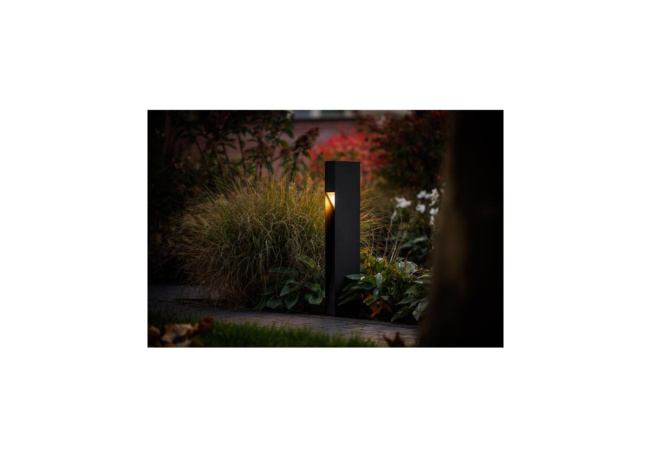 Alon  Borne lumineuse-LP221P- Light Pro