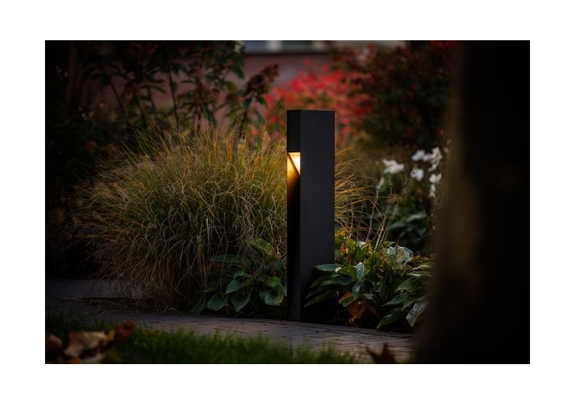 Alon  Borne lumineuse-LP221P- Light Pro