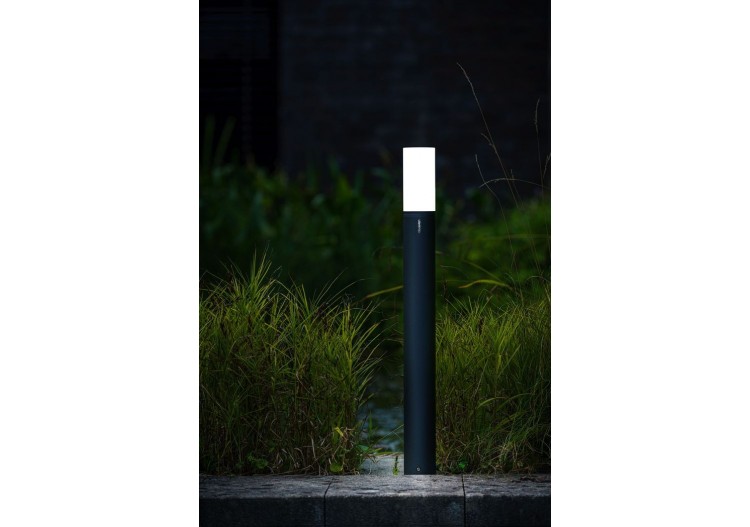 Oberon Hi Borne lumineuse-LP191P- Light Pro 2