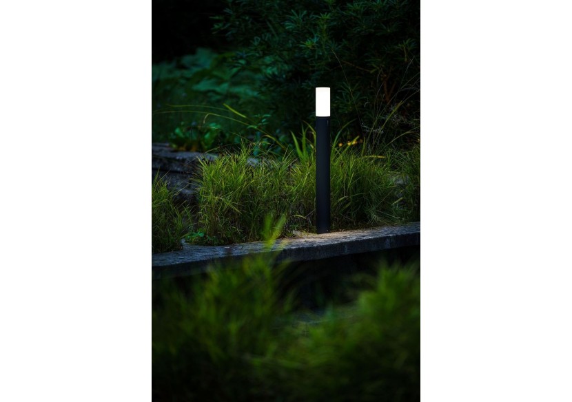 Oberon Hi Borne lumineuse-LP191P- Light Pro