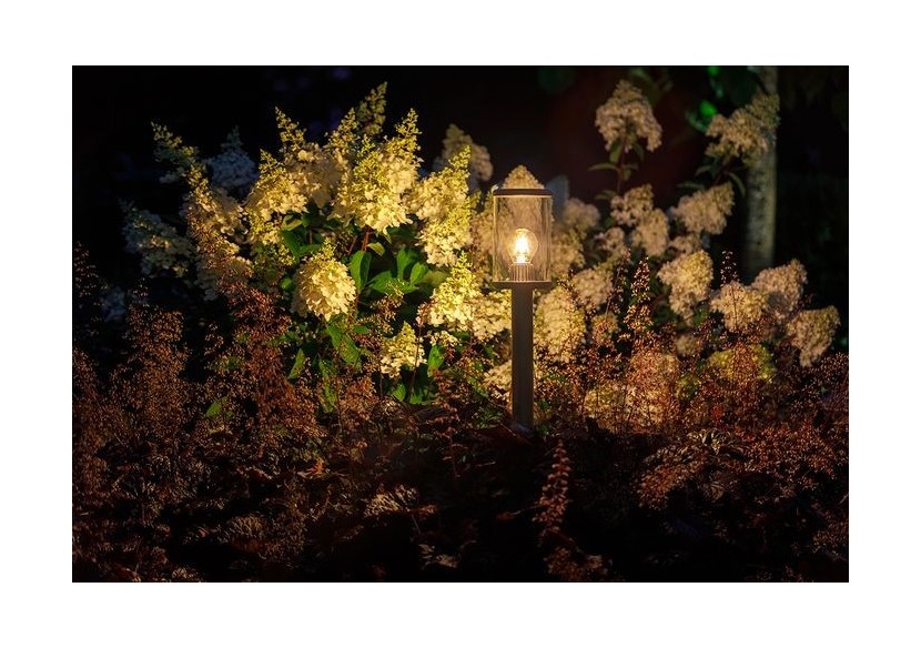 Eros Lo Borne lumineuse-LP217P- Light Pro